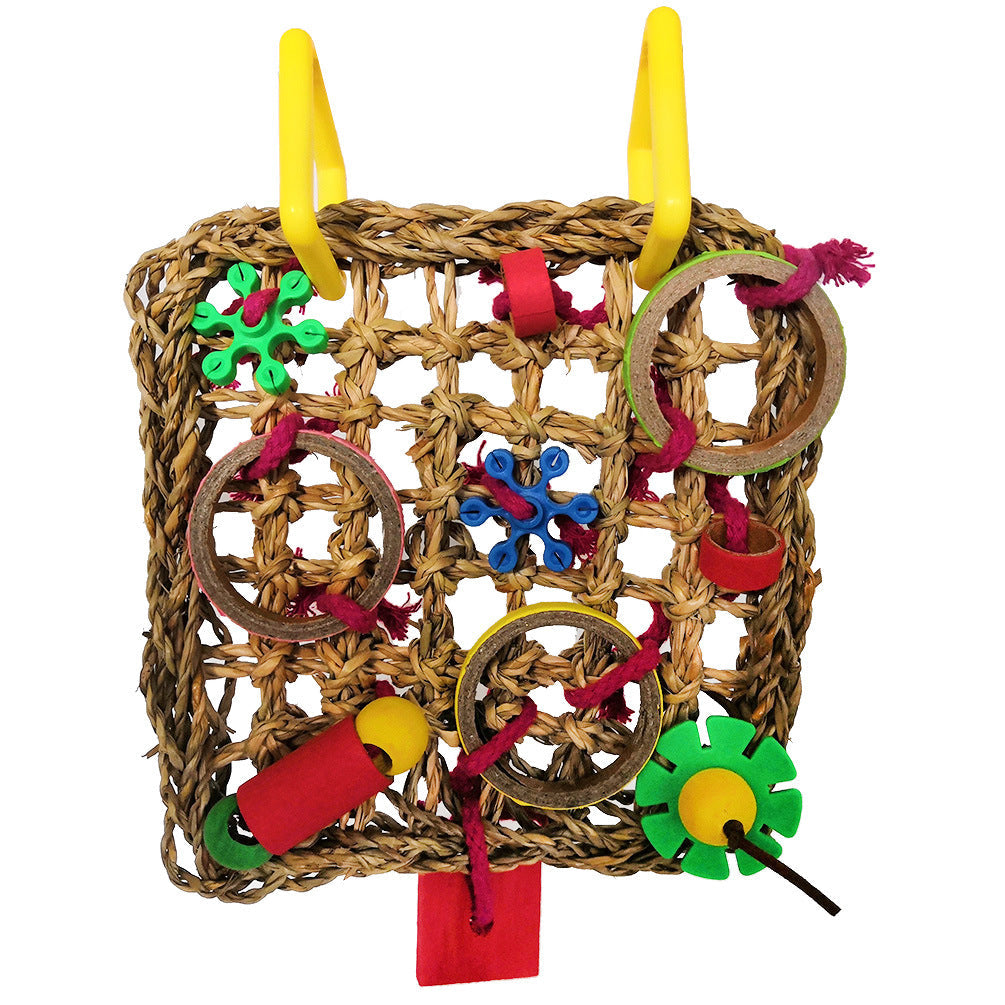 Colour Block Parrot Chew Toy