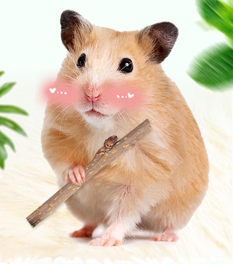 Natural Wood Chew Sticks for Rabbits & Hamsters