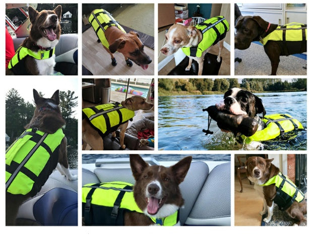 Inflatable Dog Swimming Vest