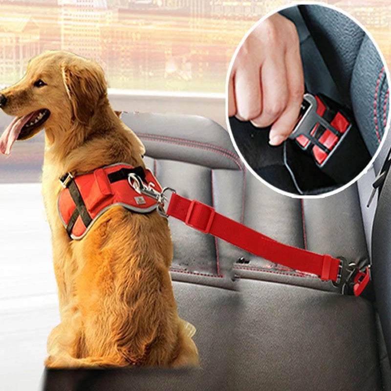 Adjustable pet car seat belt