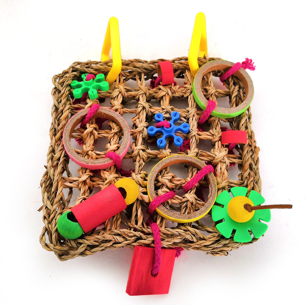Colour Block Parrot Chew Toy