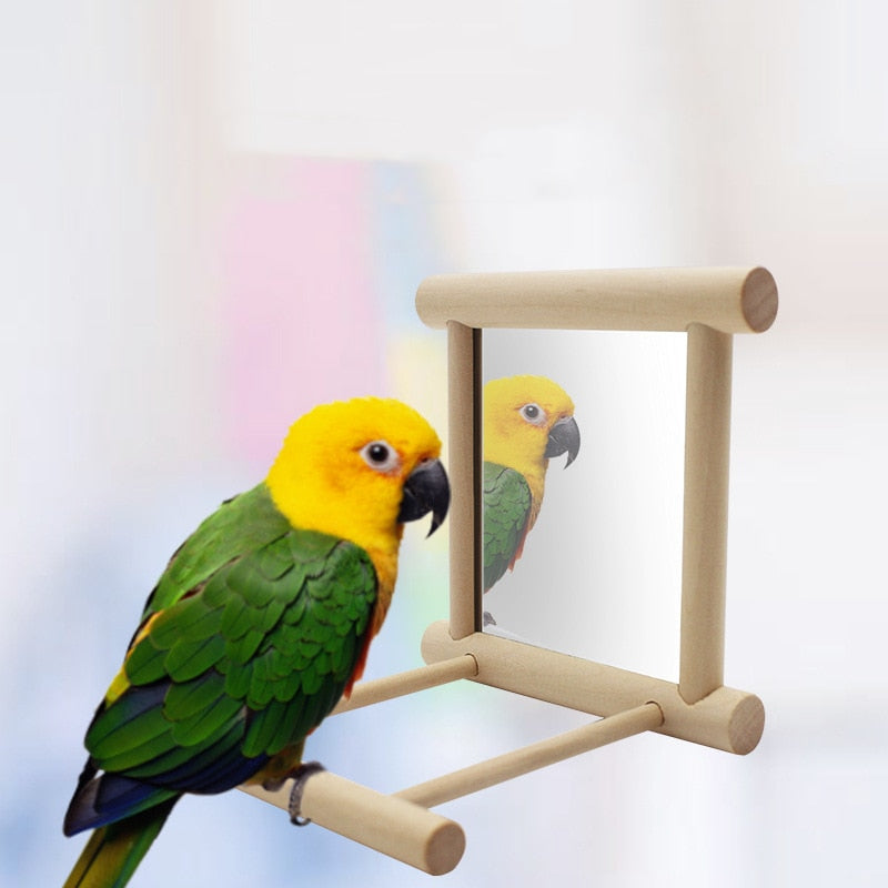Wooden Bird Perch with Mirror