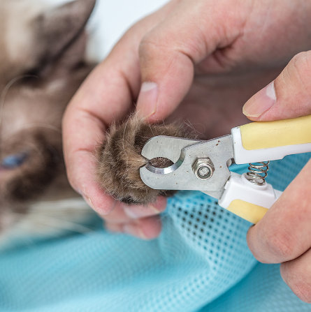 Adjustable Cat Grooming & Bath Bag
