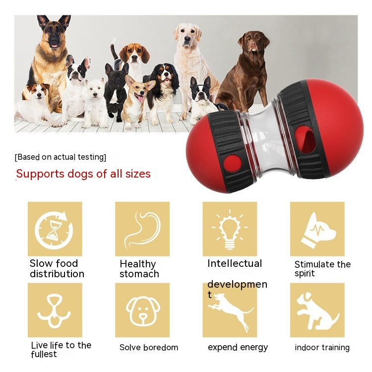 Treat-Dispensing Dog Puzzle Toy