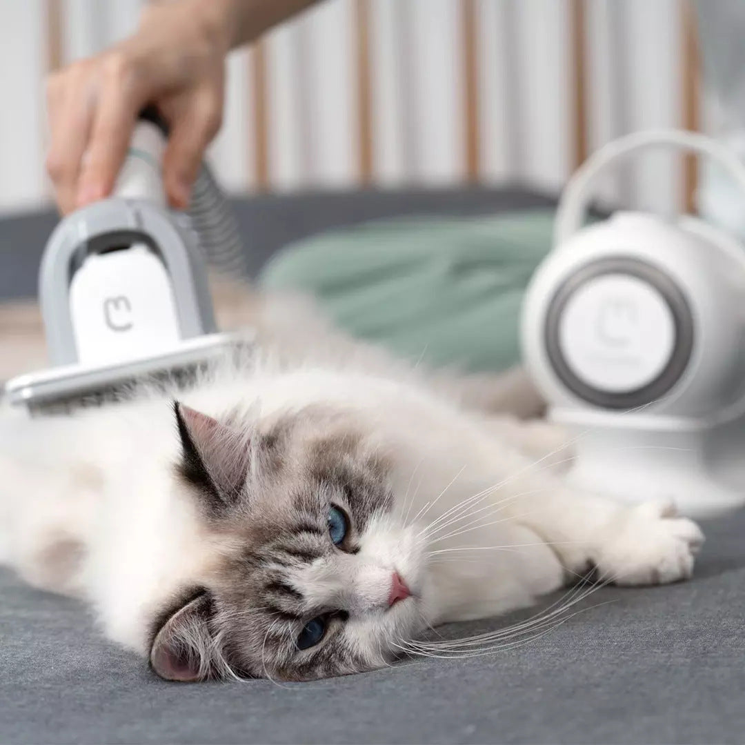 Multifunctional Pet Groomer