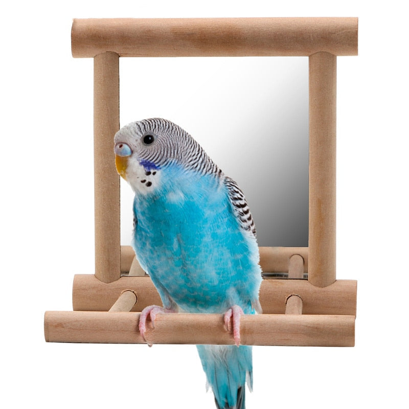 Wooden Bird Perch with Mirror