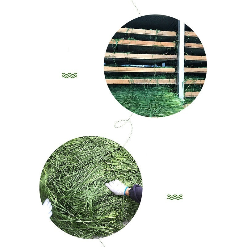 Dried Timothy Hay for Rabbits & Guinea Pigs