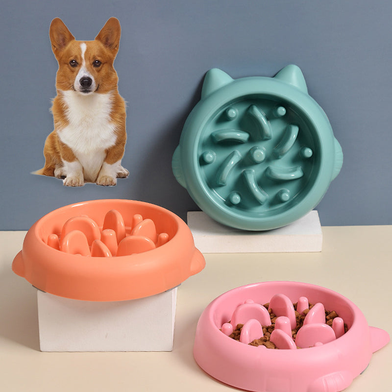 Slow feeder bowl for dogs and cats