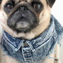 Washed Denim Dog Jacket