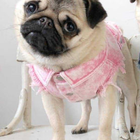 Washed Denim Dog Jacket