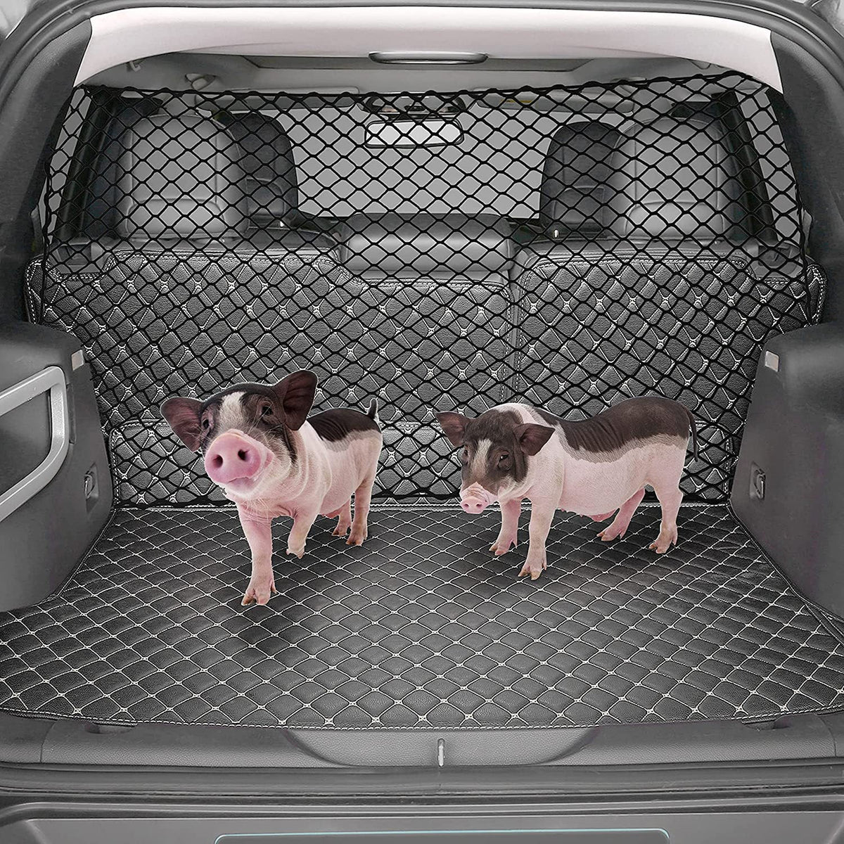 Dog Car Divider Net