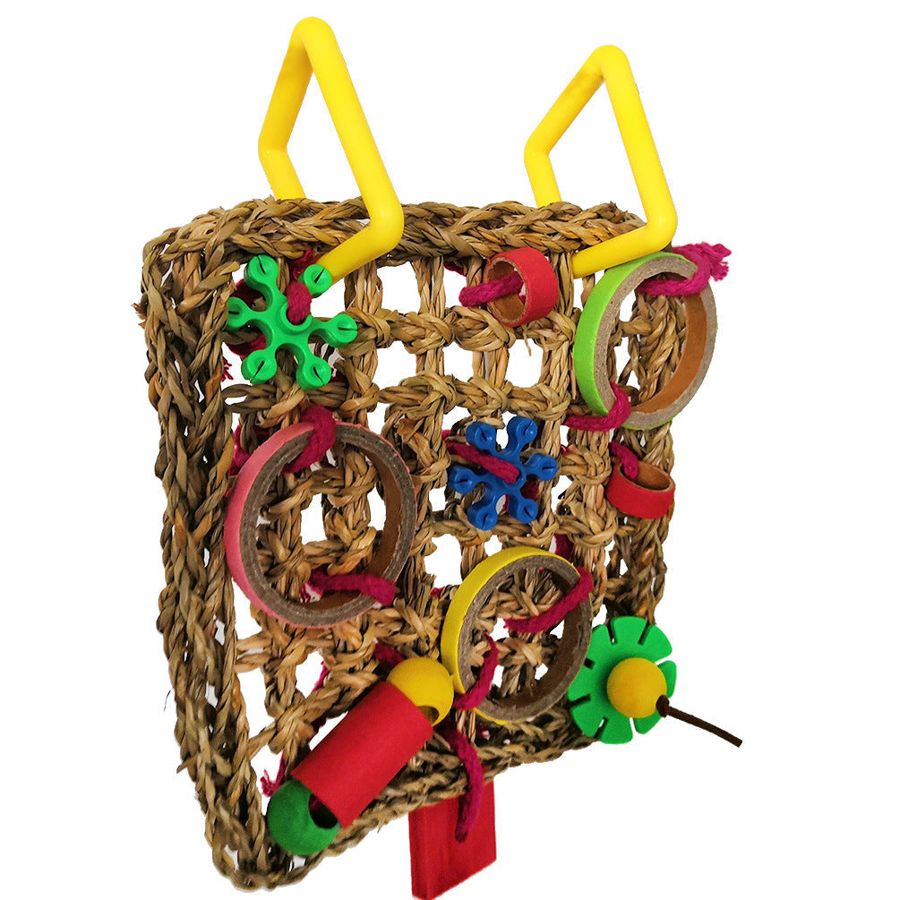 Colour Block Parrot Chew Toy