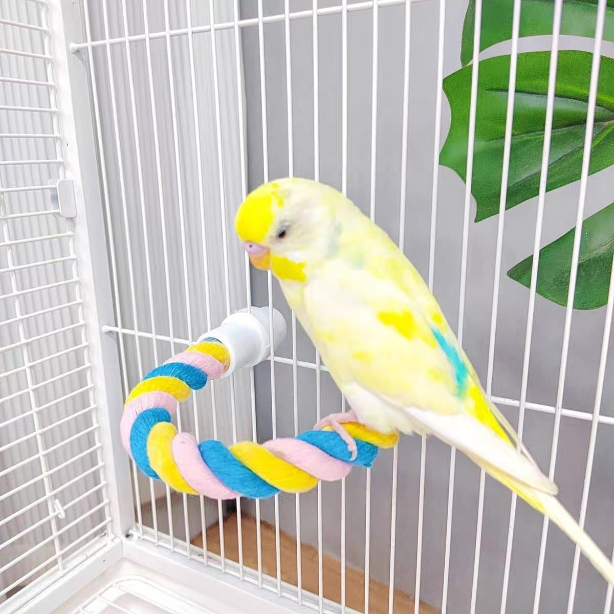 Bird Climbing Rope & Perch Toy