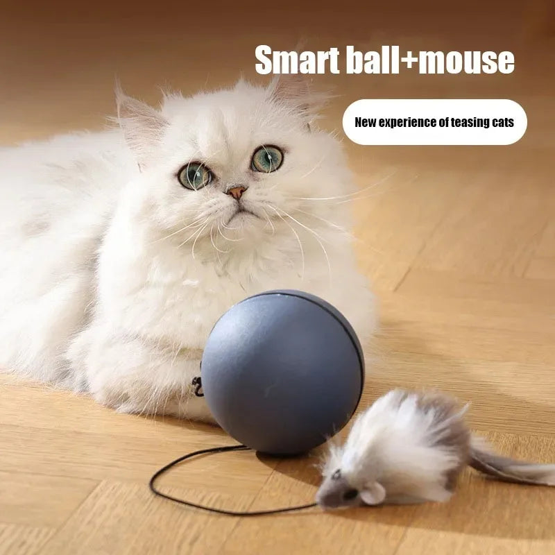 Automatic rolling cat teaser ball