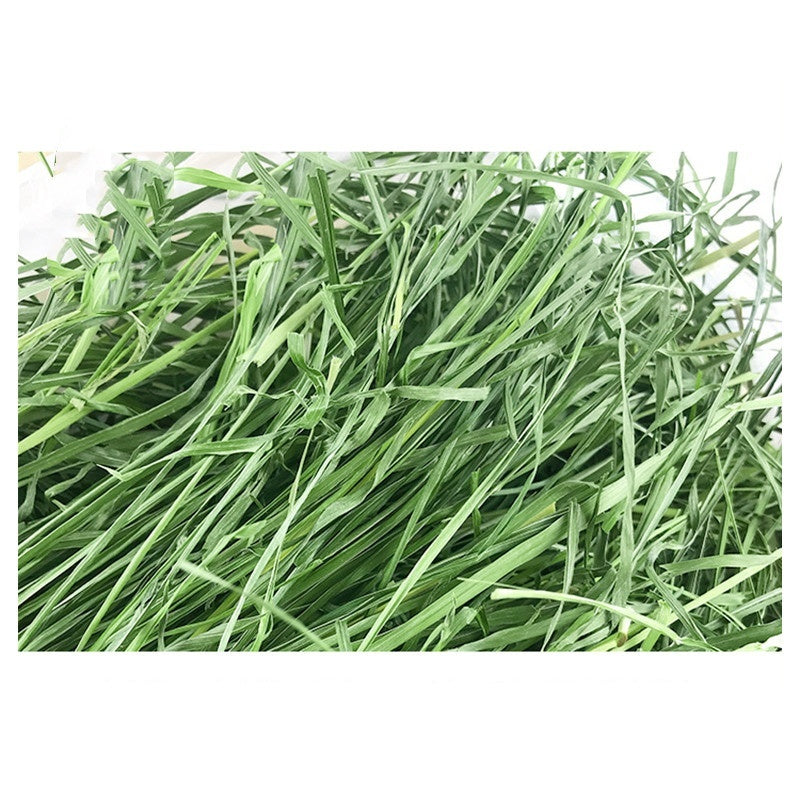 Dried Timothy Hay for Rabbits & Guinea Pigs