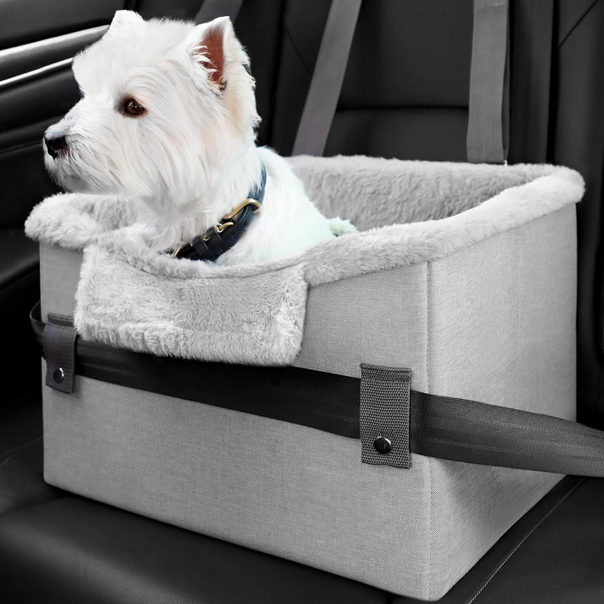 Small Pet Car Booster Seat