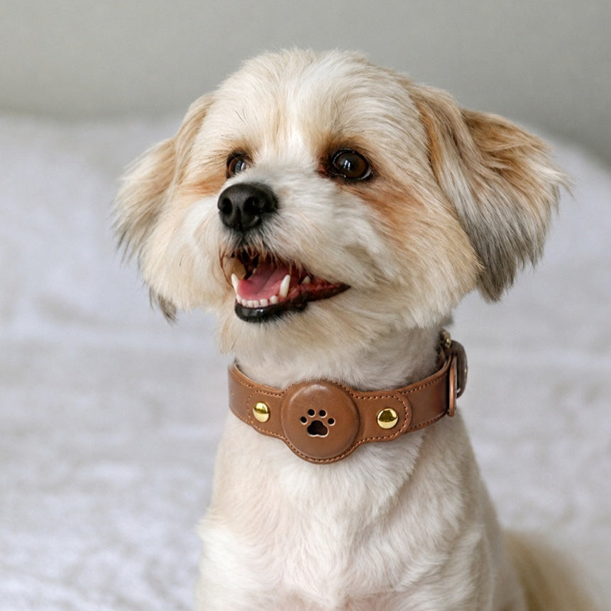 PU leather AirTag-compatible dog collar