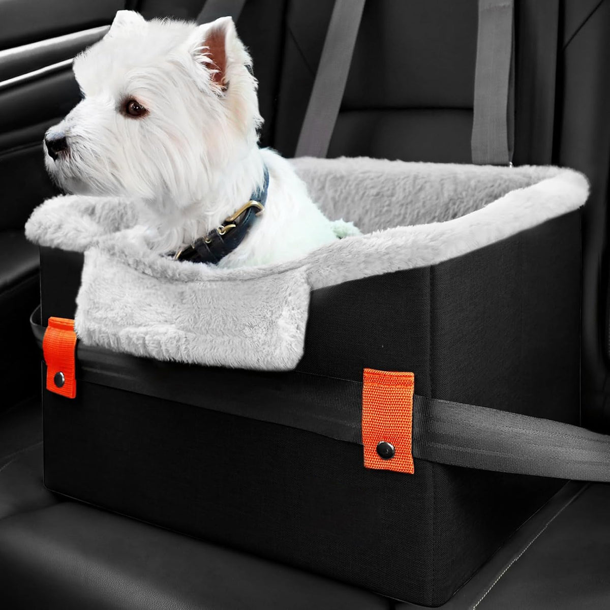 Small Pet Car Booster Seat