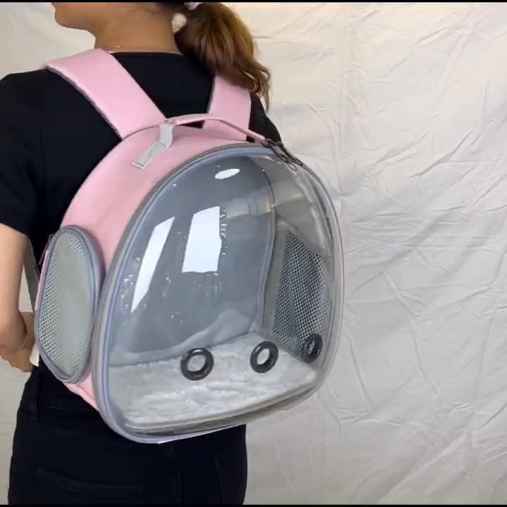 Transparent Small Pet Backpack Carrier