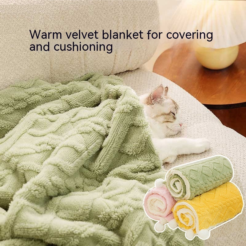 Plush pet blanket for dogs and cats