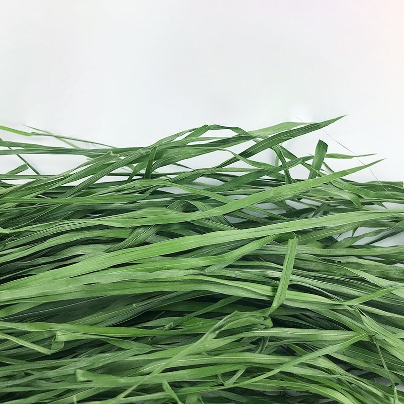 Dried Timothy Hay for Rabbits & Guinea Pigs