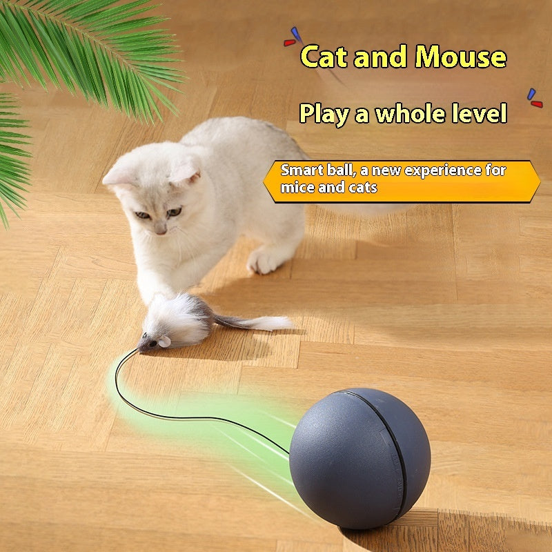 Automatic Rolling Cat Teaser Ball