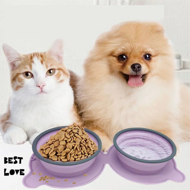 Double Collapsible Travel Bowls