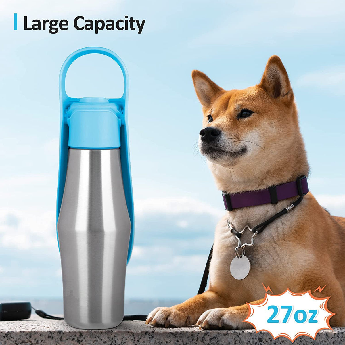 Portable dog water bottle
