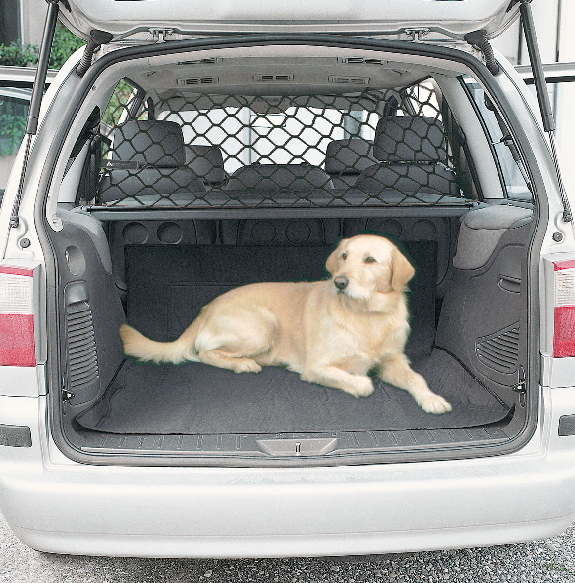 Dog Car Divider Net