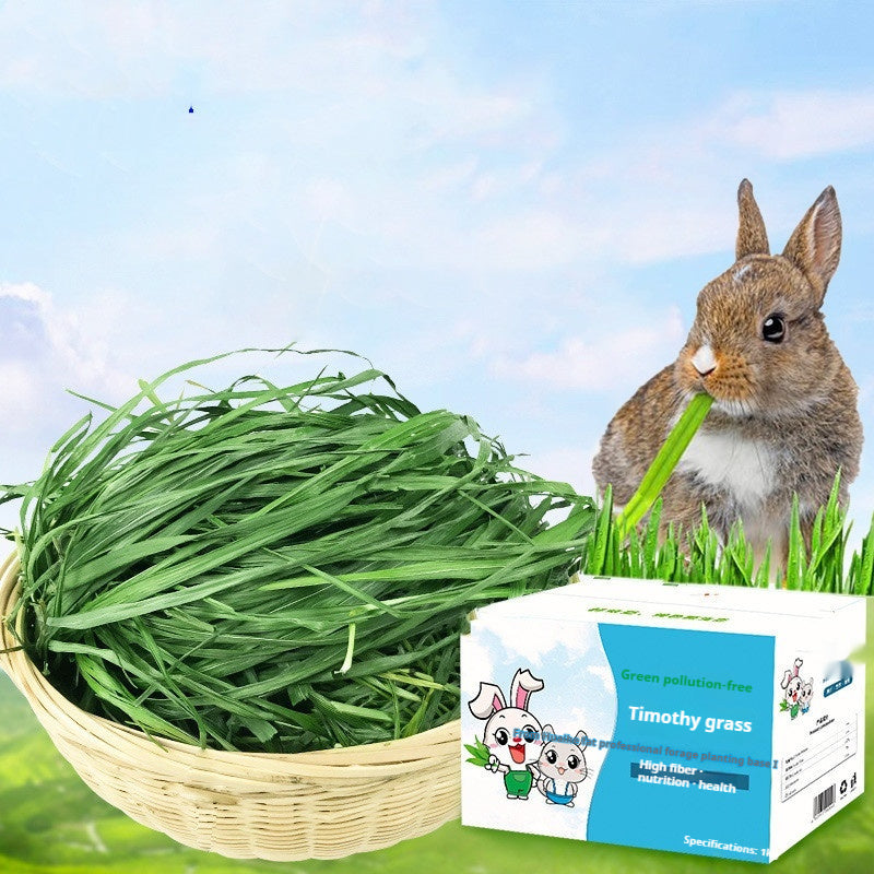 Dried Timothy Hay for Rabbits & Guinea Pigs