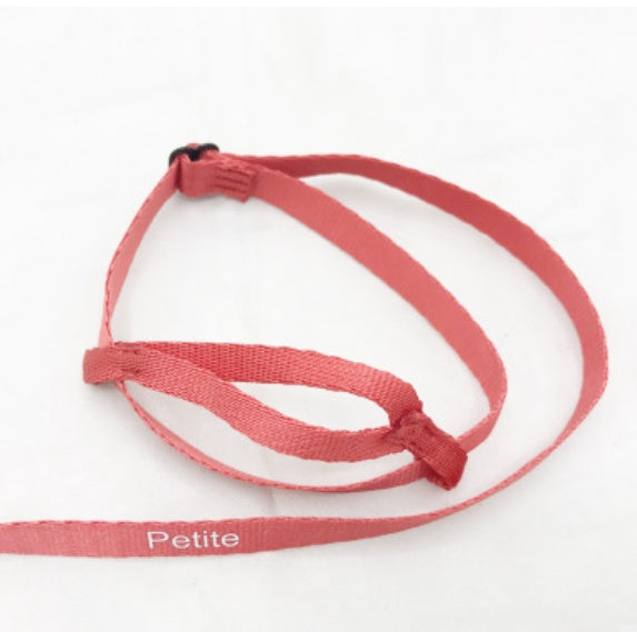 Parrot Harness & Flying Leash