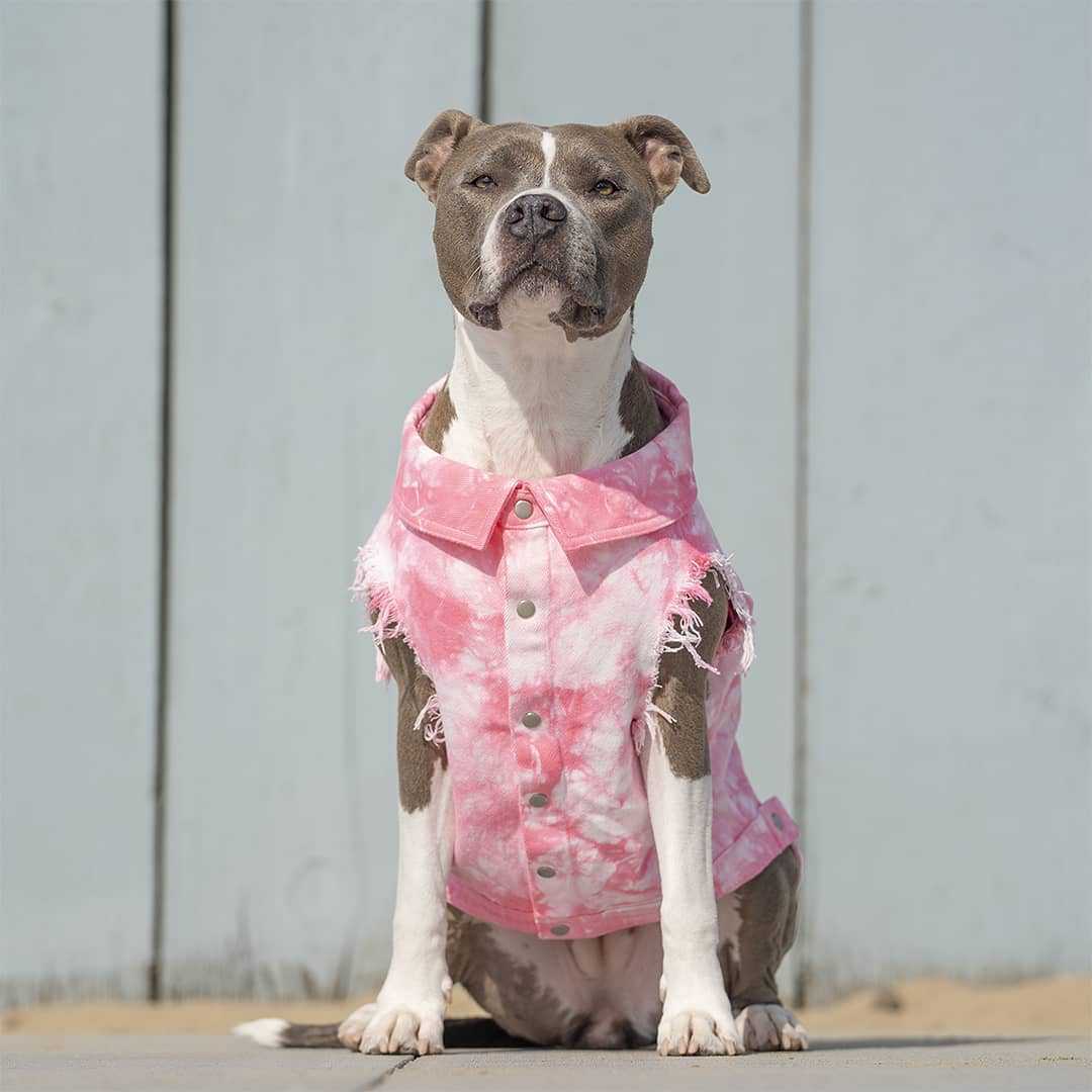 Washed Denim Dog Jacket