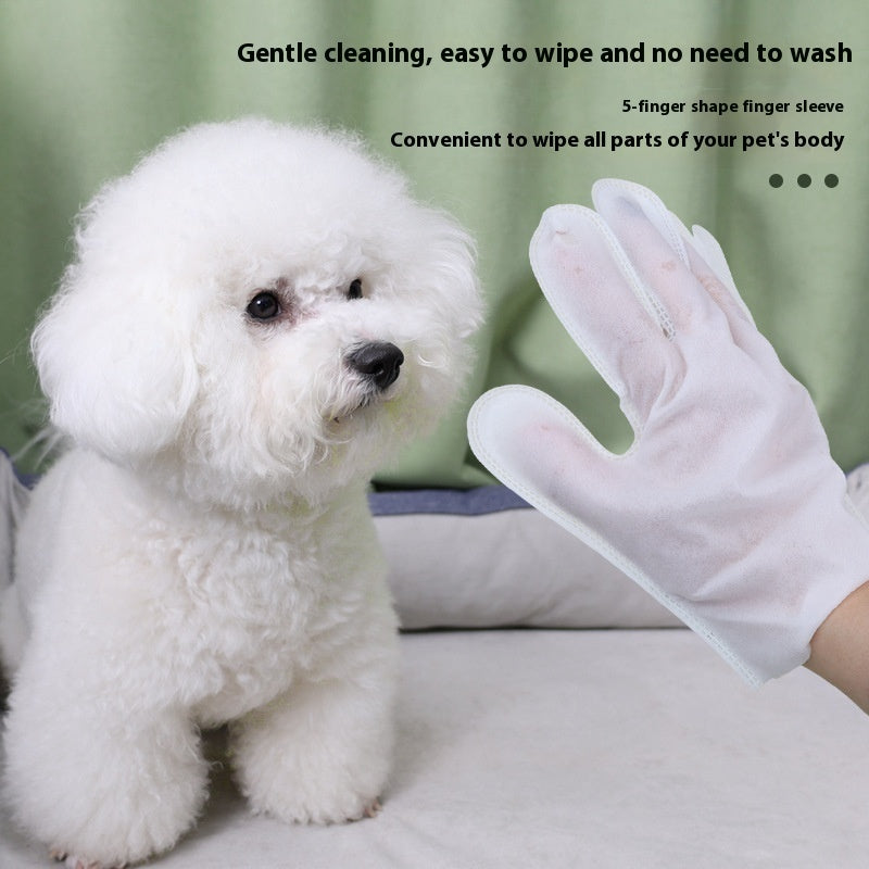 Disposable Pet Cleaning Gloves – 6 Pack